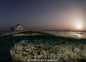 Location: Red Sea
Olympus OMD-EM5, 
Nauticam Housing 
... by Christian Llewellyn 